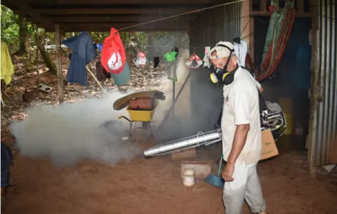 Tres muertos por el mosquito Aedes aegypti