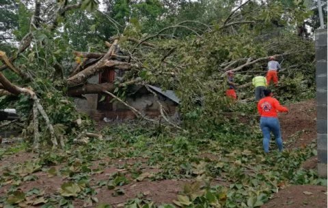 Voladuras de techos y caídas de árboles por fuertes vientos en Arraiján