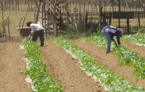 Inicia proyecto para monitorear la sequía agrícola en Panamá