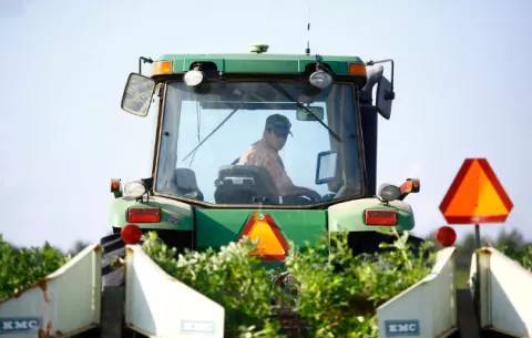 Crece el resentimiento en los agricultores de E.E.U.U. 