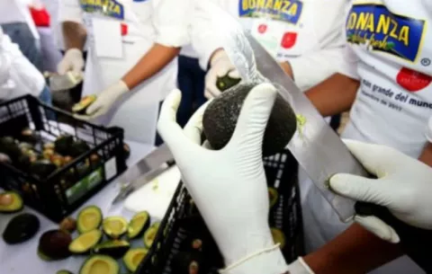 Analizarán retos de la agricultura moderna en el sureste de México 