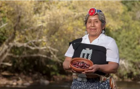 Costa Rica capacita damas indígenas en agroecología