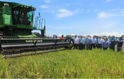 Productores presentan propuesta para incrementar la siembra de frijoles, arroz y sandía