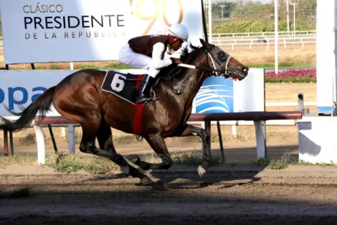 Alaxebo tratará de prevalecer ante grupo de ocho rivales en la tercera válida del 5 y 6