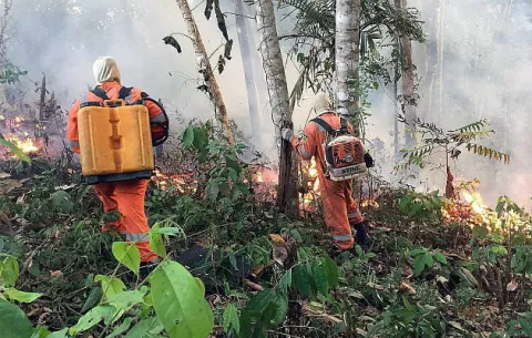 El mundo exige salvar la Amazonía, "pulmón del planeta" asfixiado en llamas