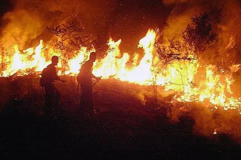 Jair Bolsonaro y Sebastián Piñera preparan una reunión de líderes amazónicos sobre incendios