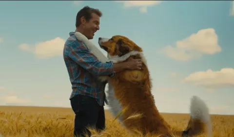 Un amor que rebasa barreras
