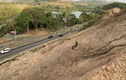 Daño ecológico en la ribera del Canal de Panamá todavía puede ser reversible si  suspenden  el proyecto