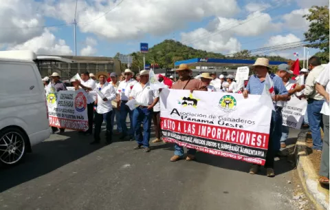 Productores y ganaderos del Oeste marchan por el distrito de La Chorrera 