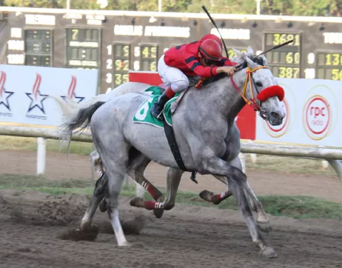 Acumulado del 5 y 6 por encima de los $27 mil para la jornada de hoy en hipódromo