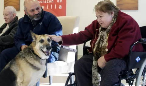 Animales: Terapeutas de cuatro patas 