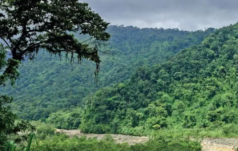 Detienen a 11 funcionarios y exfuncionarios de la Anati por apropiarse de tierras protegidas en Colón
