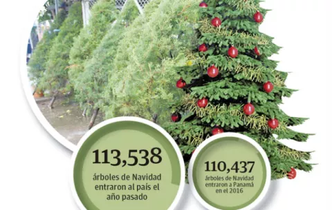 Desaceleración económica no afecta el espíritu navideño de los panameños