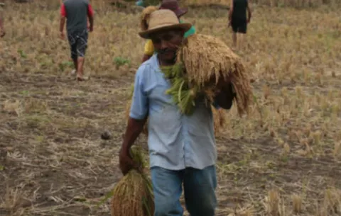 Gobierno sigue incumpliendo acuerdo a favor de productores