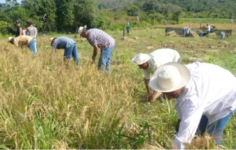 Asamblea Nacional aprueba crédito adicional al Mida para pago a productores