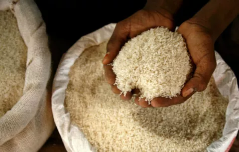 Minsa desmiente comercialización de arroz sintético