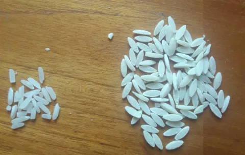 ¿Sabes por qué en algunos empaques de arroz hay granos de diferente color y tamaño?