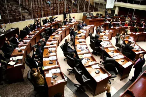 Constitución