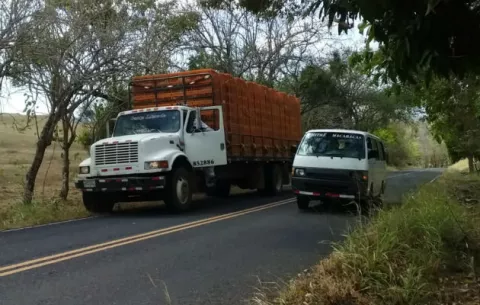 Tres personas resultan con picaduras de abejas africanizadas en Los Santos 