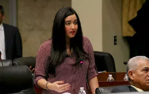 Athenas Athanasiadis se postula como diputada por el partido Alianza, pero no renunciará al PRD