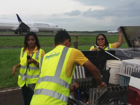 Aves migratorias se disputan el espacio aéreo en el aeropuerto de Tocumen