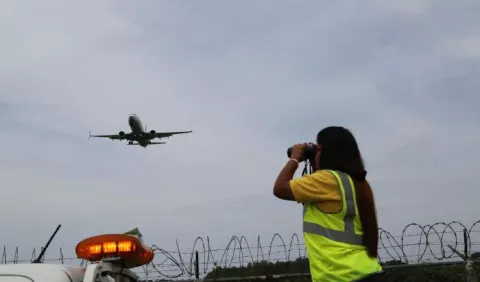 Aves migratorias ponen la alerta en Aeropuerto de Tocumen