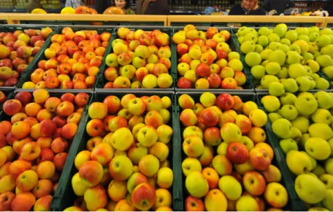 El consumo de 7 piezas de frutas y verduras al día alarga la vida