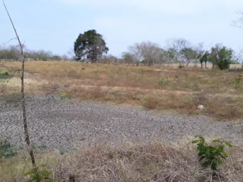 De los 44 ríos en Azuero 25 presentan deficiencias de agua en su caudal