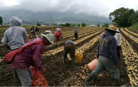 Balanza comercial de Panamá continúa en déficit