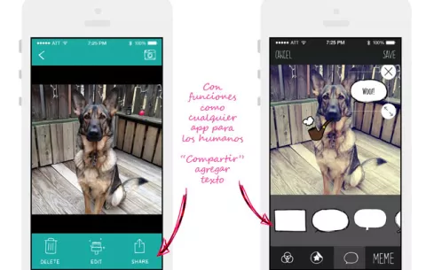 Instagram para los perros