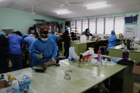 Iniciativa legislativa creará red de hogares temporales para animales abandonados