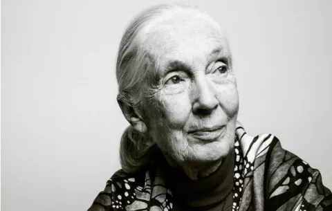A los 85 años, Jane Goodall aún predica