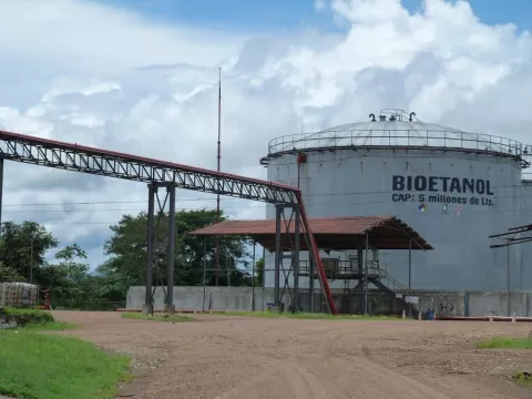 Magistrados rechazan querella de veterinarios contra Campos de Pesé