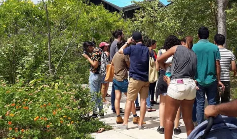 Actividades del Biomuseo para el mes de febrero 