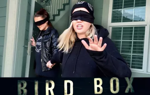 Netflix pide a la gente dejar de hacer el 'Bird Box Challenge' 
