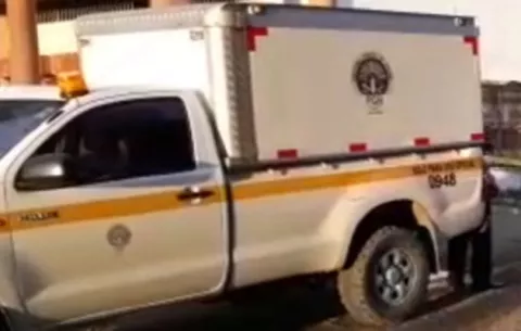 Investigan la muerte de un anciano a quien le cayó un árbol  