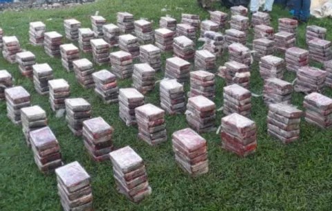 Dos colombianos aprehendidos por decomiso de 380 kilos de droga en Bocas del Toro