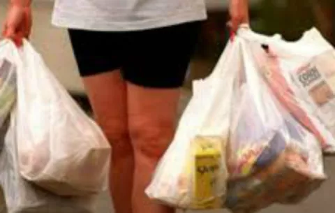 Ninguna bolsa con polietileno podrá ser utilizada a partir del 20 de julio