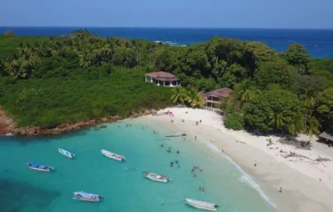 Detonan bomba en isla Iguana, Pedasí, en época de apareamiento de ballenas 