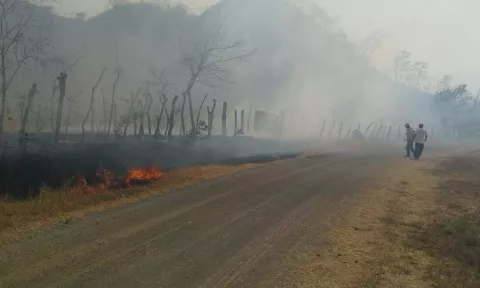 Incendio consume más de 100 hectáreas en Pesé