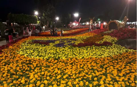 Feria de Las Flores y del Café en Boquete con incremento en el número de visitantes
