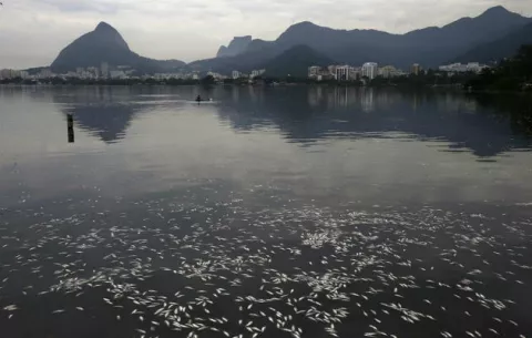 Toneladas de peces muertos en laguna de Río de Janeiro