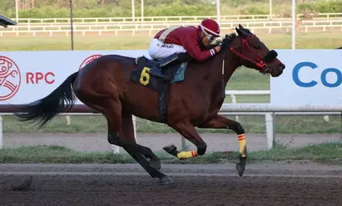 Macherano Manía y Brigantia, protagonizarán las carreras coestelares de este domingo