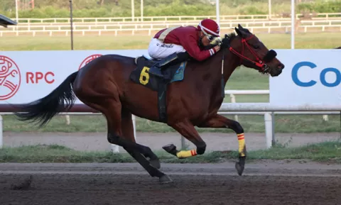 Brigantia, la campeona del Caribe tratará de reverdecer laureles en su carrera de retorno