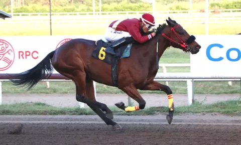 Brigantia reaparece y enfrentará a la argentina Amanit que viene con una racha ganadora