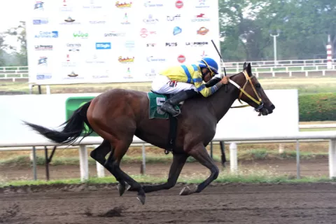Royal K y Bubble Marigol se medirán en una carrera de revancha en la segunda del 5 y 6