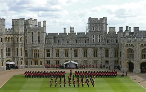 Plaga de ratas ataca al palacio de Buckingham lo que ha horrorizado a la reina