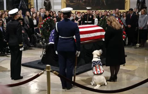 Sully, el perro de servicio de Bush, lo acompañó a su última morada