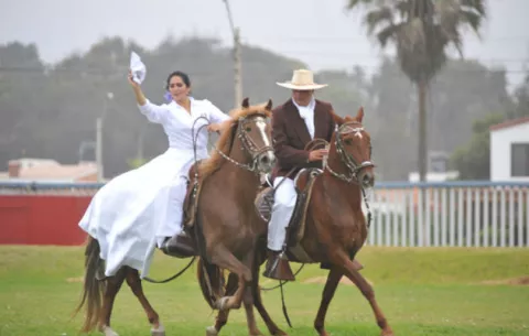 ¡A ver caballos de paso! 