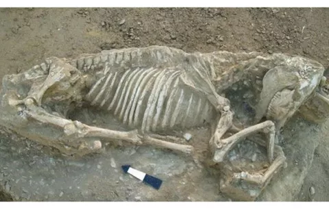 Restos de caballo más antiguo en el Mar Egeo
